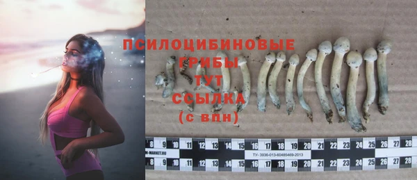 jwh Лагань